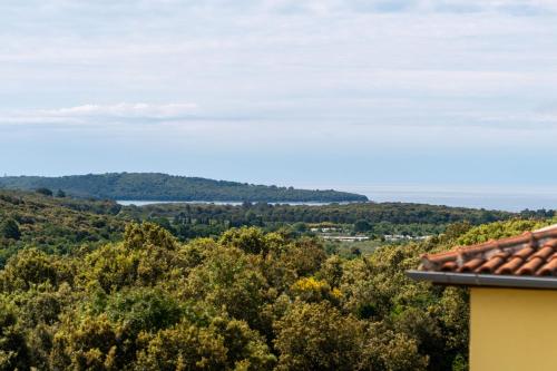 Apartment with View