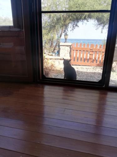 Yeniliman Bungalaov Evleri - Verandalı Ev - Karaburun - İzmir (Yeniliman Bungalaov Evleri - Verandalı Ev - Karaburun - Izmir) in Karaburun