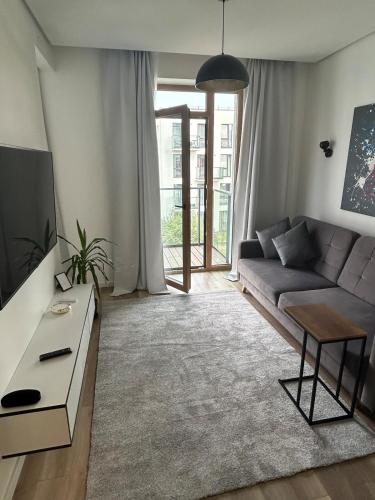 Flat in central of Vilnius, Vilna
