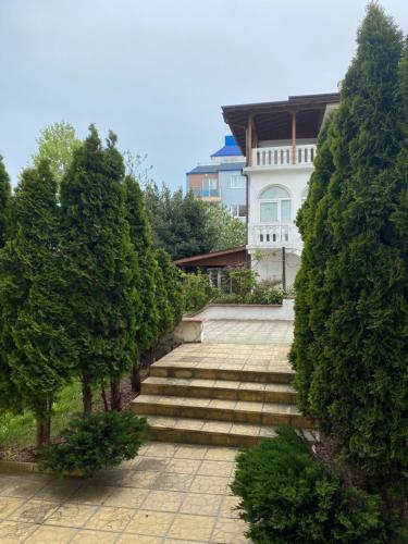 Skats, Зора-Обзор in Obzora