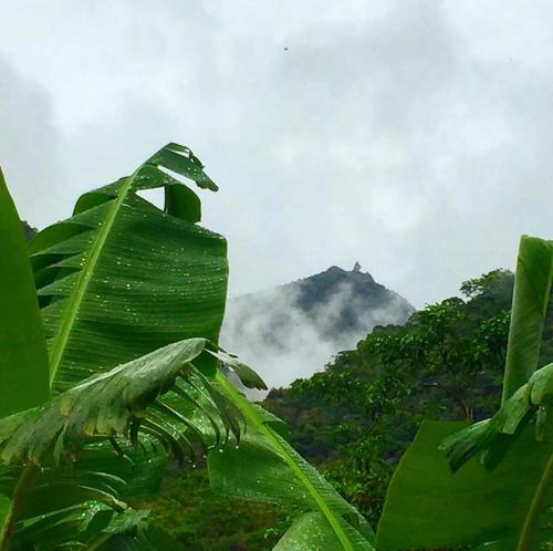Pousada Verde Vista in Lumiar