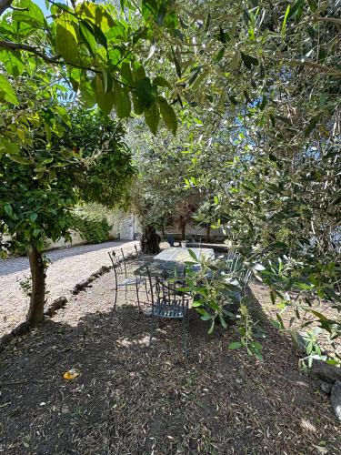 B&B Dimora di Campagna "alle falde del Vesuvio" in Терциньйо