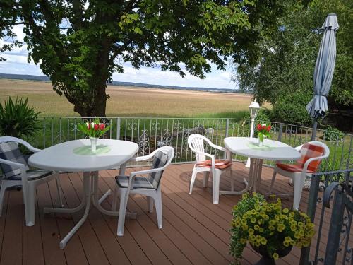 Ferienzimmer in Pension zur alten Weide im Oderbruch - Neulewin