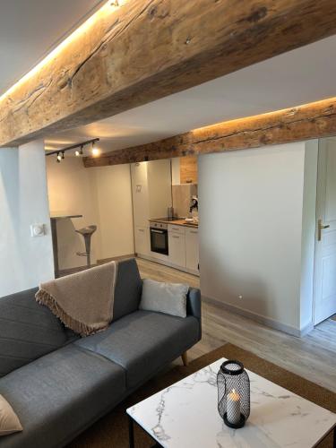 Appartement avec jacuzzi in Sisteron