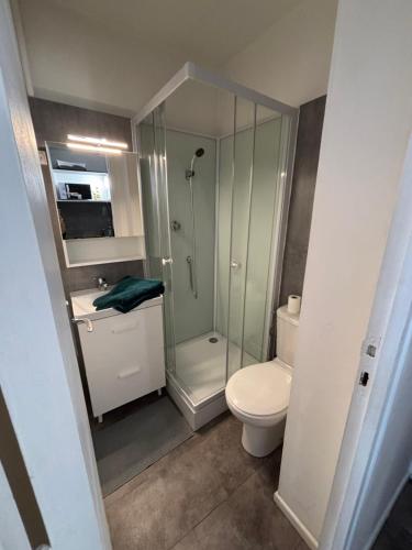 Appartement Toulouse Crampel, Toulouse (fotografie 6)