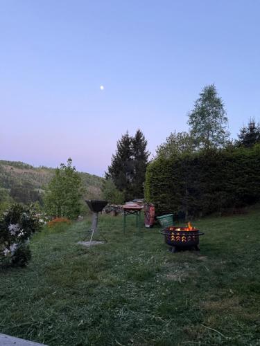 Ferienhaus am Vogelsberg in Frankenblick