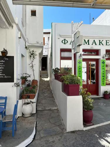 Παραδοσιακό διαμέρισμα Ειρήνη (Παραδοσιακο διαμερισμα Ειρηνη) in Skyros