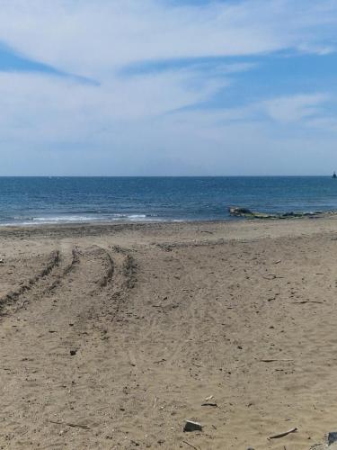 Beach, Studio les pieds dans l'eau near La Cabane du Cap