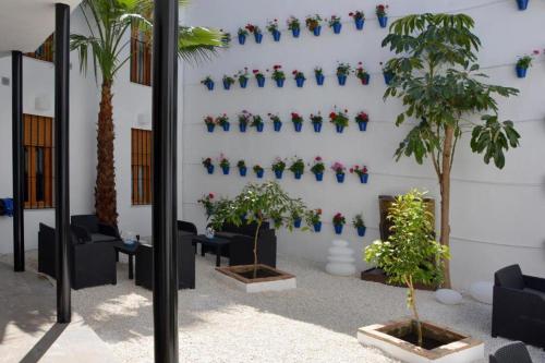 CASA PATIO LAS PALMERAs 1 Y 2, Córdoba (fotografie 7)