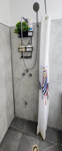 Shower, A country house in the city in Petah Tikva