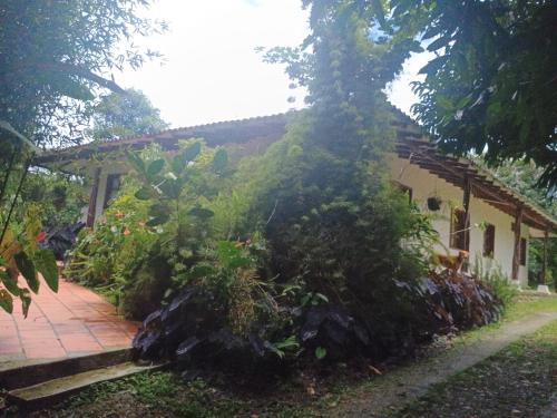 Ecopolis finca