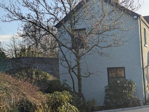 المنظر الخارجي, Riverside Cottage in كاسلدوسن