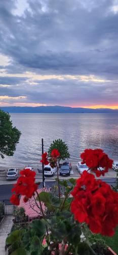 Villa Daniel Pestani - Apartment - Peštani