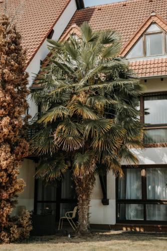Atelier-Boho-Apartment in der Residenz Deidesheim in 戴德斯海姆