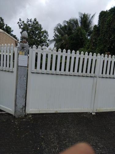 Vanille in Capesterre-Belle-Eau