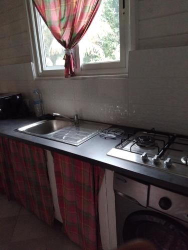 Vanille in Capesterre-Belle-Eau