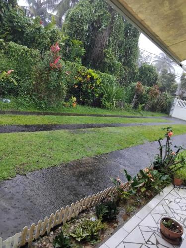 Vanille in Capesterre-Belle-Eau