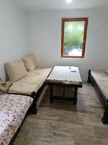 Bujtina Ora e Shales in Boge