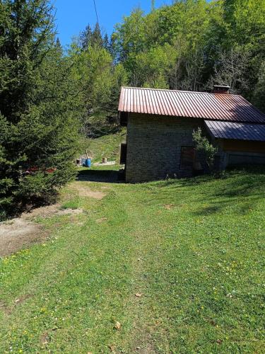 Apkārtne, Bujtina Ora e Shales in Boge