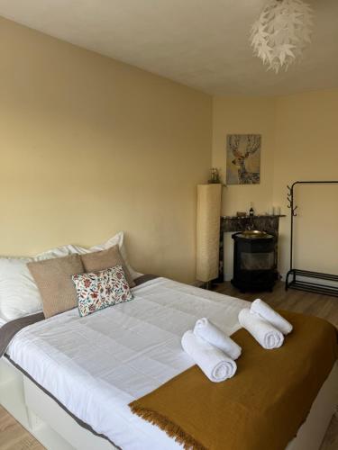 Spacious Cosy Room With Private Bathroom, La Haya (foto 7)