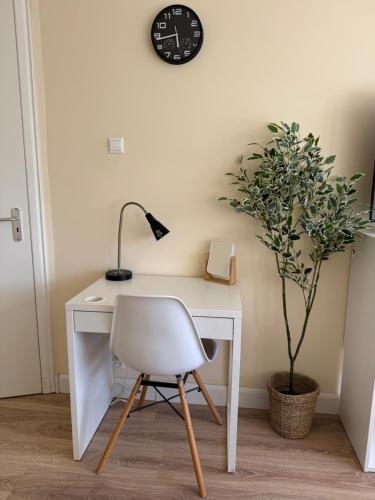 Spacious Cosy Room With Private Bathroom, La Haya (foto 8)