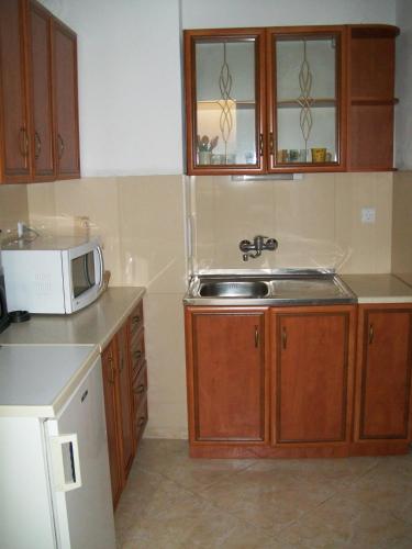 Villa Vesela - image 5