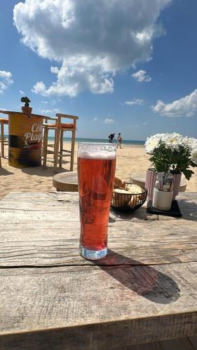 Studio en bord de mer, tous commerces animations