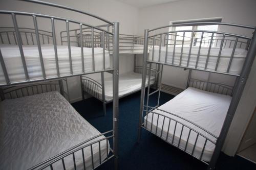The Heights Bunkhouse Room Type - Bed in 8-Bed Female Dormitory Room