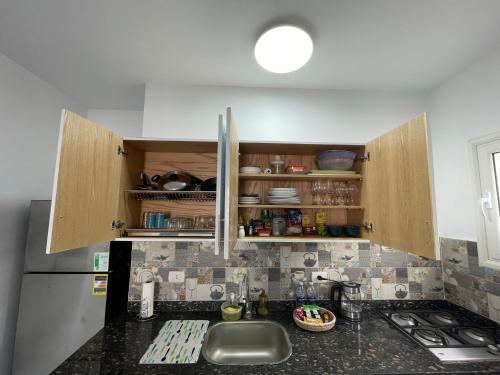 One-Bedroom Apartment image 10