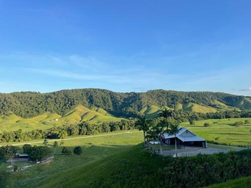Jabiru Lodge Daintree in Daintree