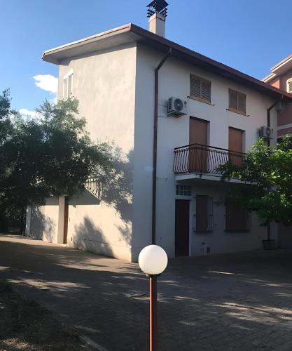 Tra gli ulivi