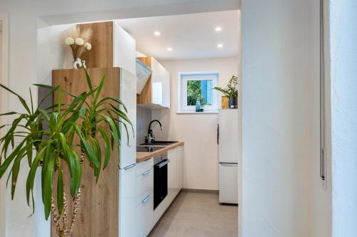 Ferienwohnung Reinbold in Niedereschach