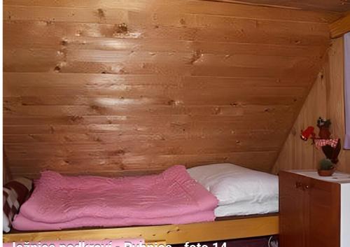 Roubenka Jizerka in Benešov u Semil