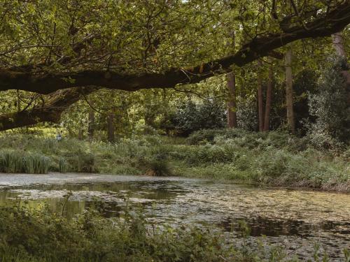 Viesnīcas āriene, Moat Island Glamping in Haveringland