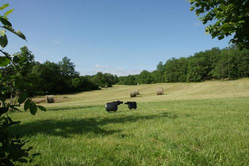 A környék, Les gîtes d'Auriac (Les gites d'Auriac) in Cales