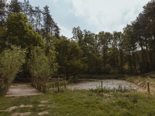 Viesnīcas āriene, Moat Island Glamping in Haveringland