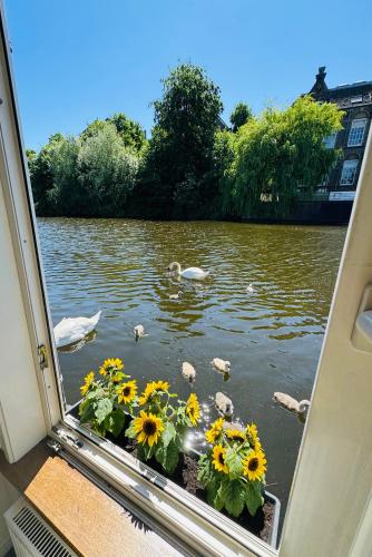 Peaceful room on a houseboat in the city centre, Amsterdam (foto 6)