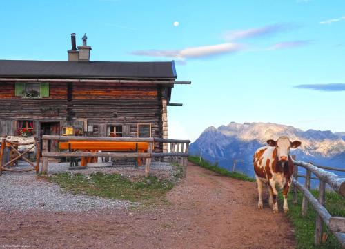 Mooshof in Lehen, Österreich