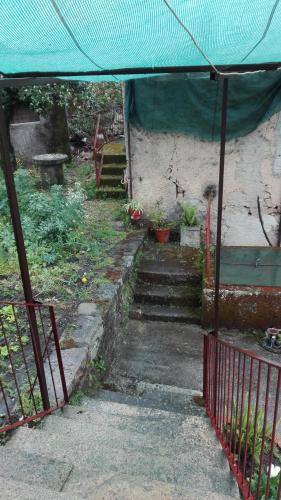 Casa da Rosa - image 12