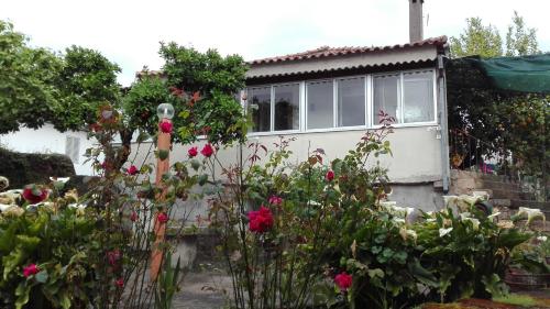 Casa da Rosa - image 13