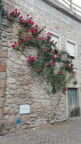 Casa da Rosa - image 4