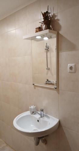 LS Central Apartment, Ruse (photo 7)