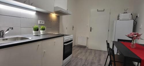 City Center Apartments - Měšťanský dům Minoritská I (City Center Apartments - Mestansky dum Minoritska I) in Brno