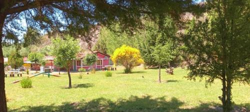 la flor del lugar in Valle Del Sol (Potrerillos)