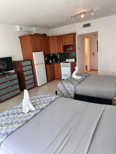 The Casablanca Miami Beach - Photo 3 in Miami Beach (FL), United States