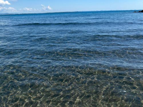 BlueWaveapartments 3 in Shengjin