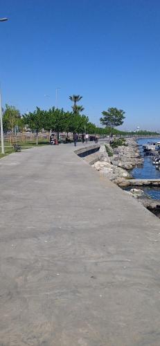 Yellow Bull Istanbul - image 10