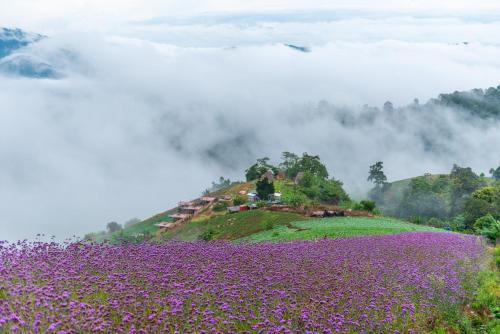 The View Homestay Monjam เดอะวิว โฮมสเตย์ม่อนแจ่ม Room Type - Double Room with Mountain View