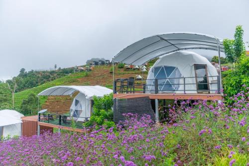 The View Homestay Monjam  in Mae Rim