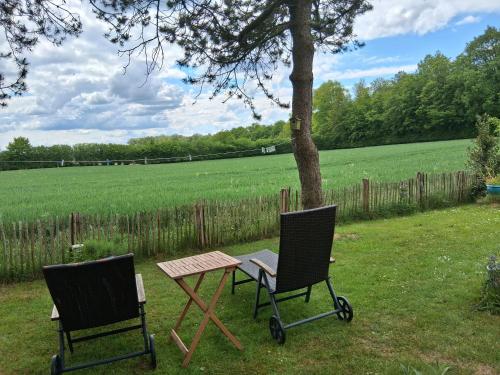 Ferienwohnung Brodersen in Boren